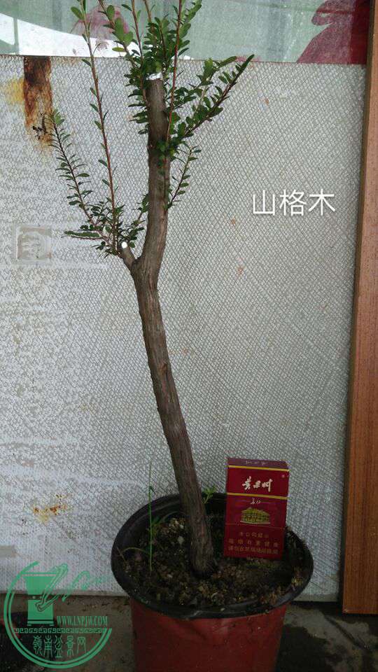 QQͼƬ20161122192219.jpg
