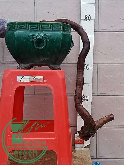 20161122_073312_mh1479811889850.jpg