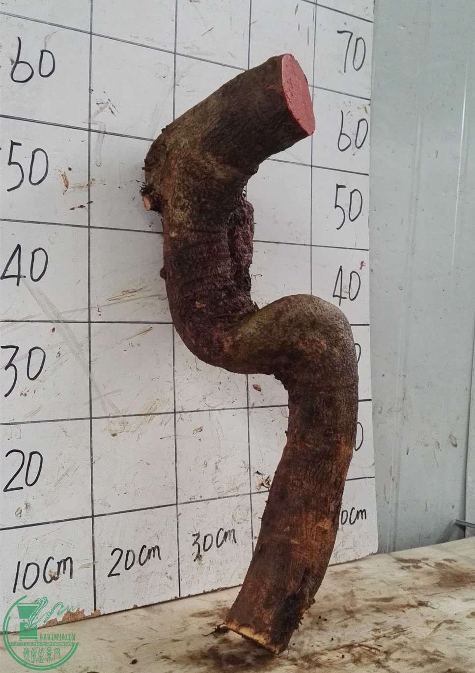 1350