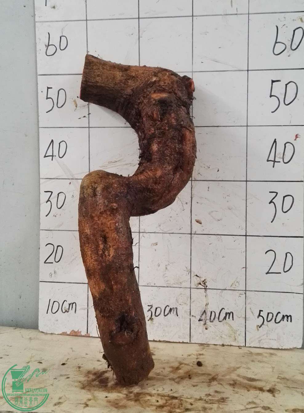 1350