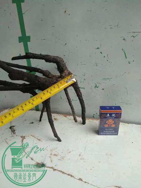psbCABK3N3J.jpg