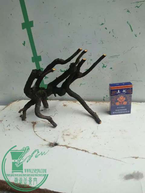 psbCADWZK32.jpg