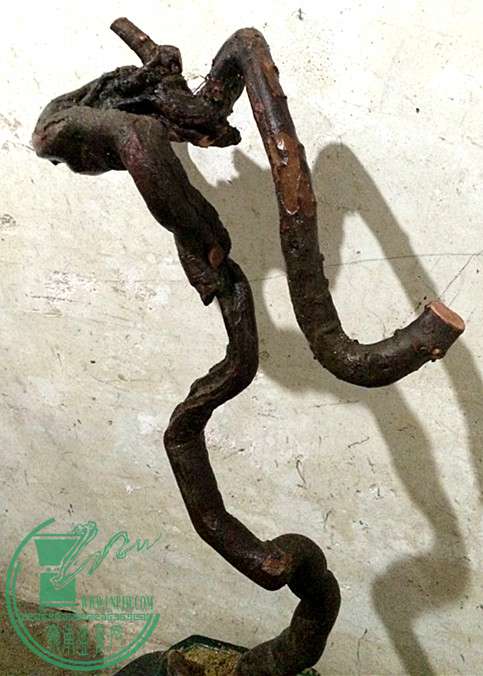 4_.jpg