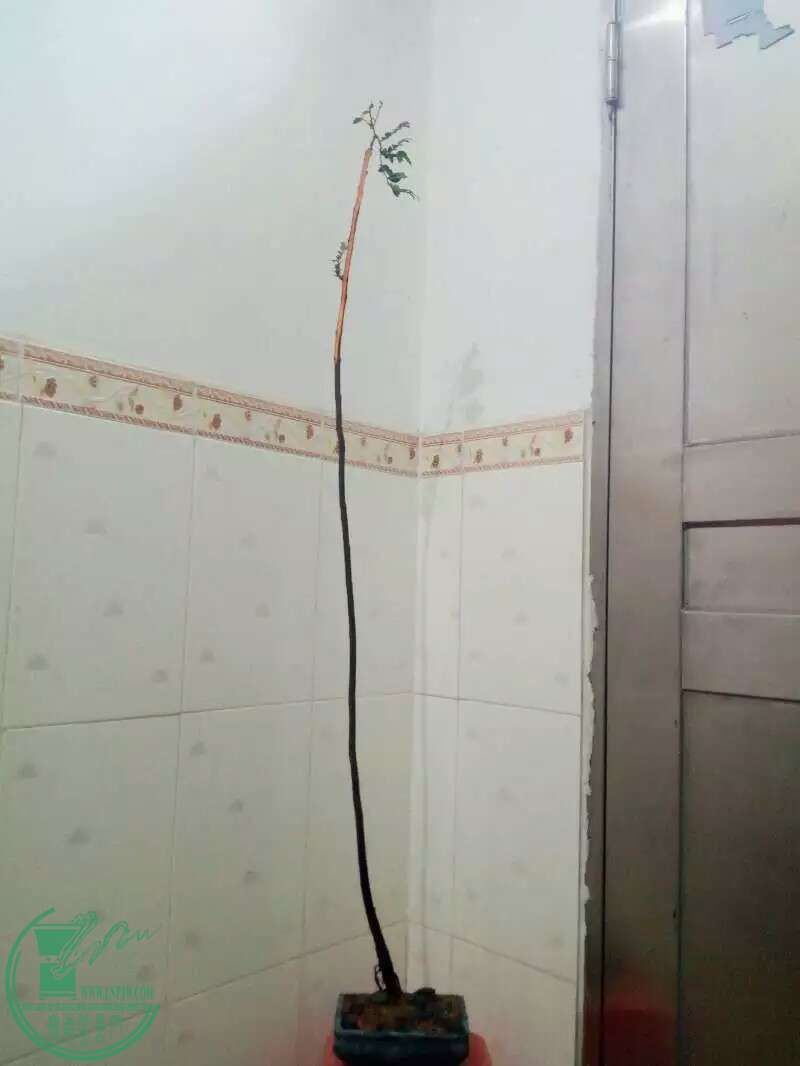 1479706867995.jpeg