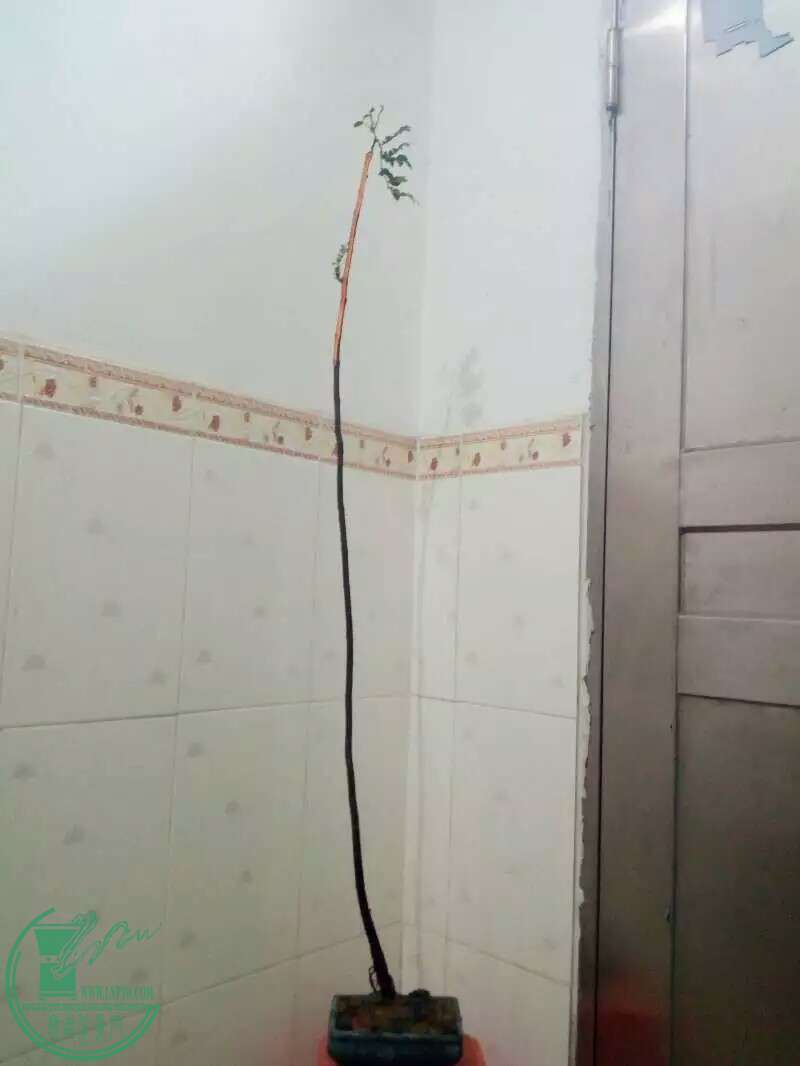 1479706876124.jpeg