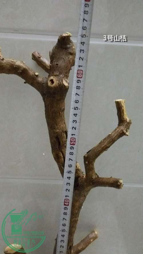 P61125-194549_.jpg