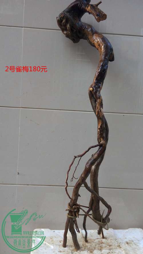 P61127-162800_.jpg