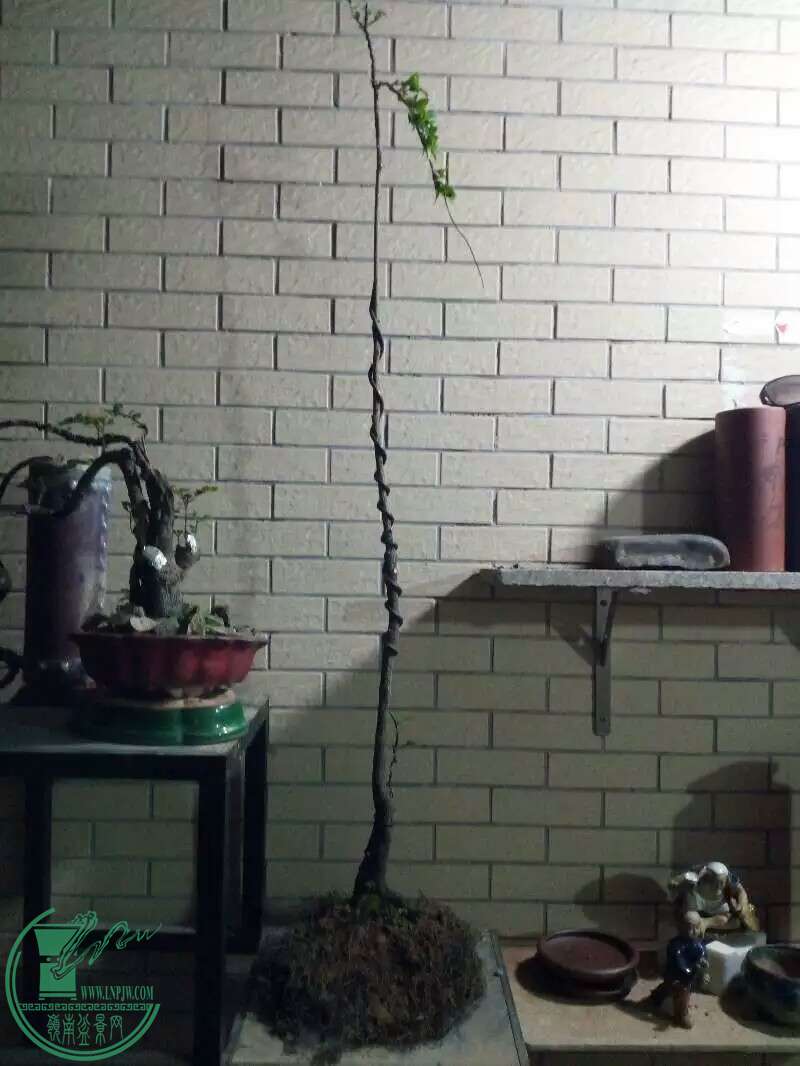 1480330295016.jpeg