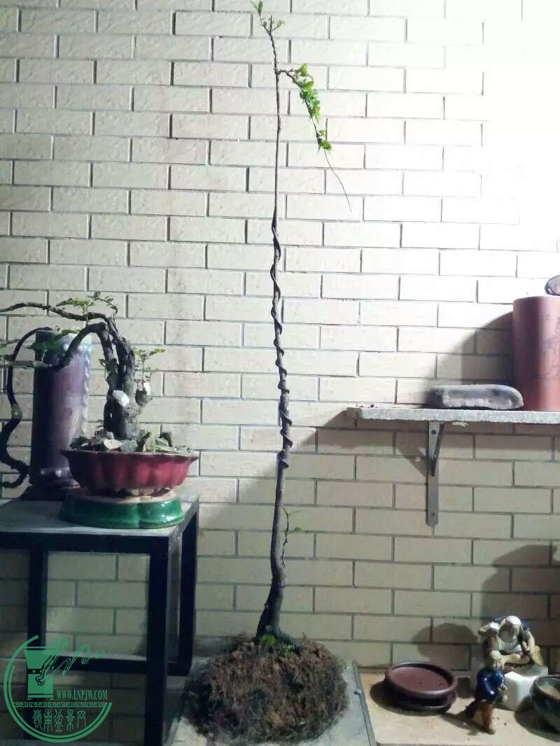 1480330298270.jpeg