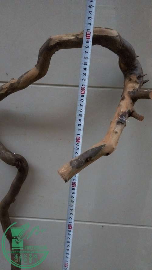 P61128-174645_.jpg