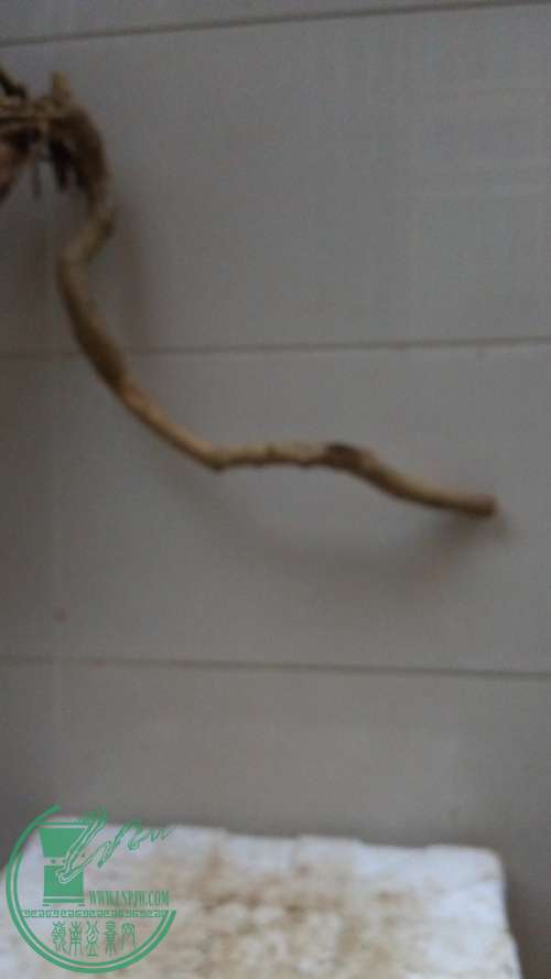 P61128-175312_.jpg