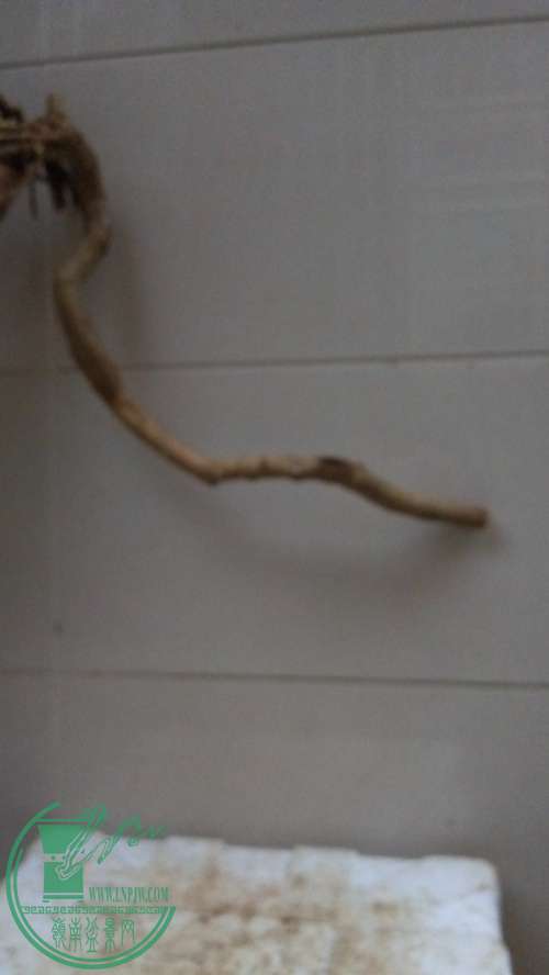 P61128-175310_.jpg