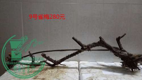 P61128-182237_.jpg