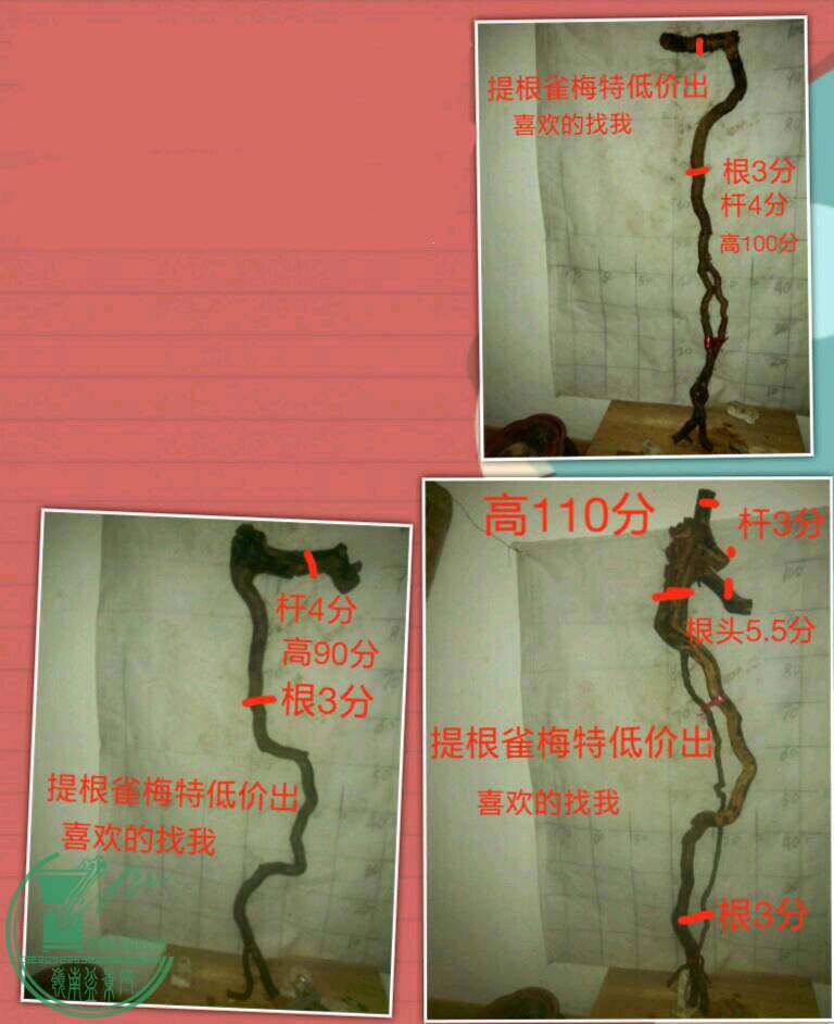 QQͼƬ20161128215803.jpg