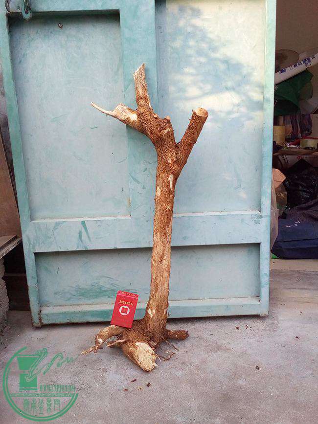 Ƭ 038.jpg