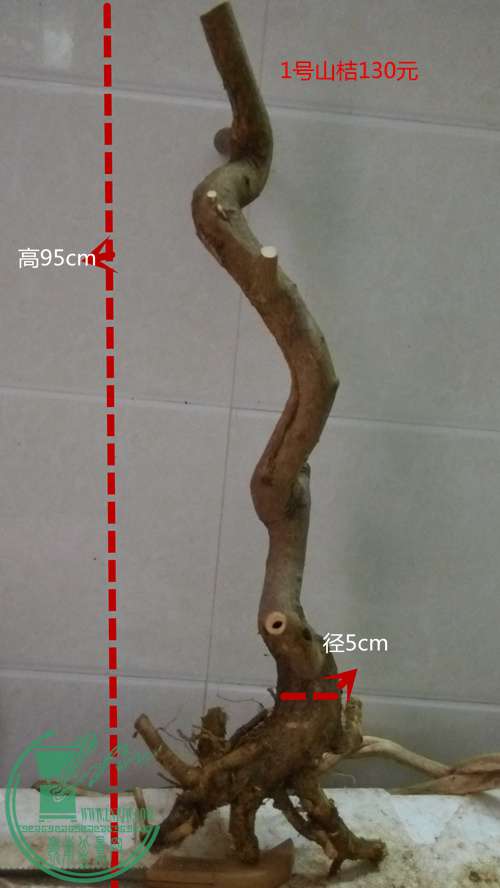P61129-164705_.jpg