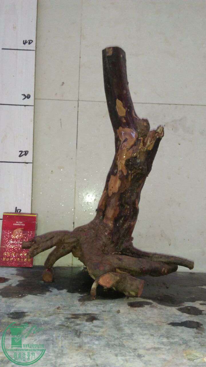 QQͼƬ20161129201735.jpg