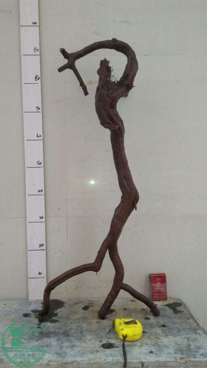 QQͼƬ20161129210855.jpg