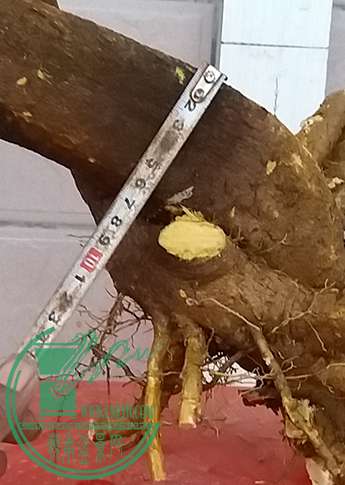 20161130_175444_mh1480502782811.jpg