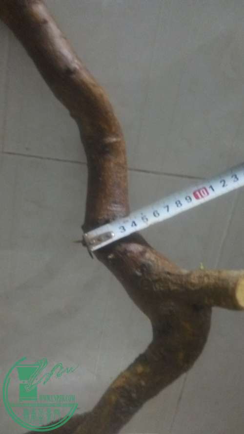 P61130-191647_.jpg