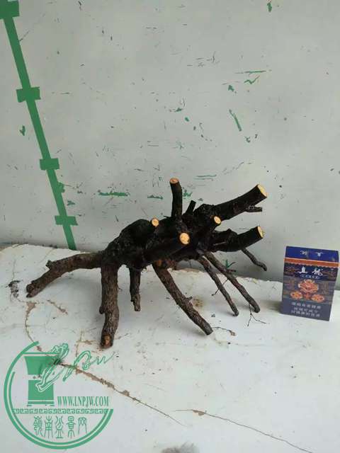 psbCARCZCK6.jpg