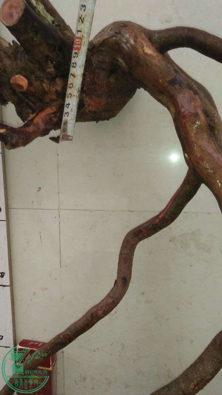 QQͼƬ20161130193650.jpg
