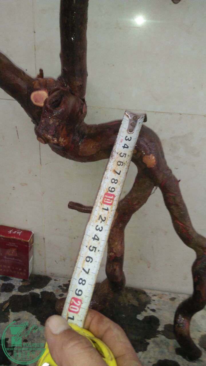 QQͼƬ20161130193605.jpg