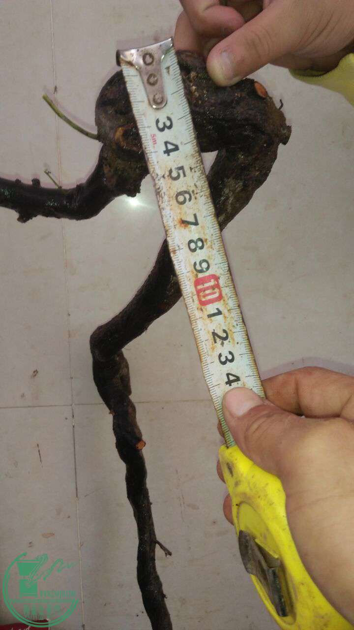 QQͼƬ20161130193719.jpg