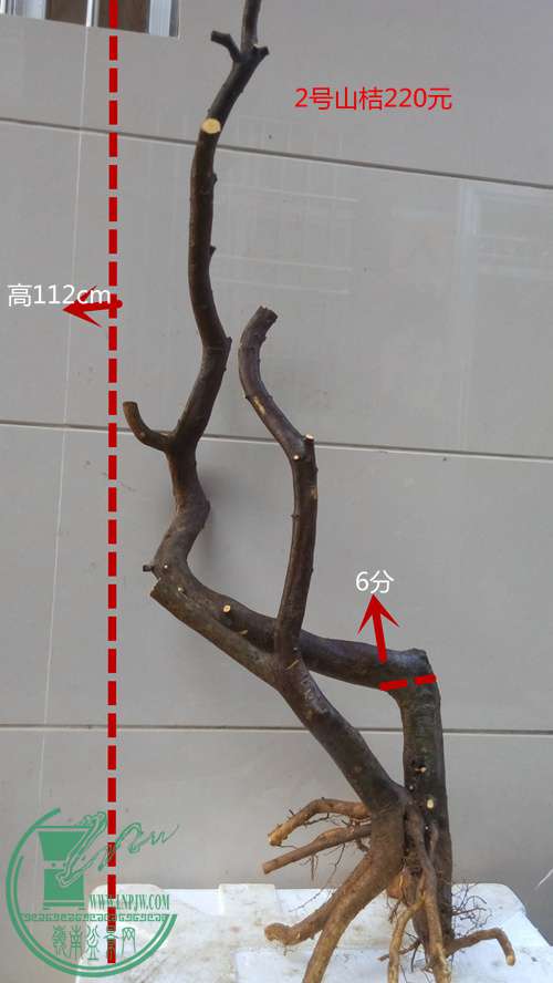 P61201-165746_.jpg