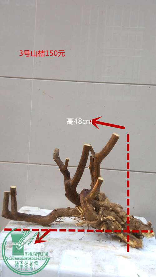 P61201-170100_.jpg