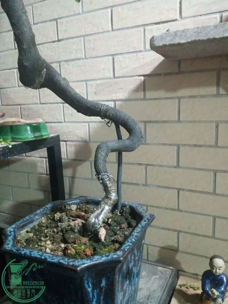 1480596939577.jpeg