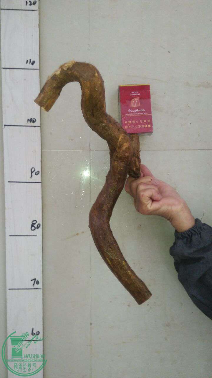 QQͼƬ20161201192023.jpg