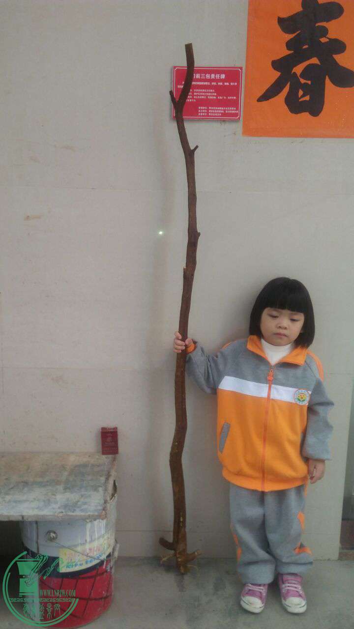 QQͼƬ20161201191828.jpg
