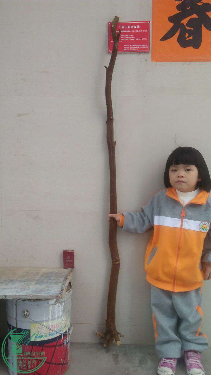 QQͼƬ20161201191820.jpg