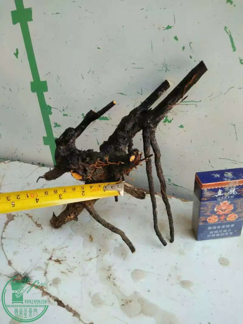 psbCARIG5IE.jpg