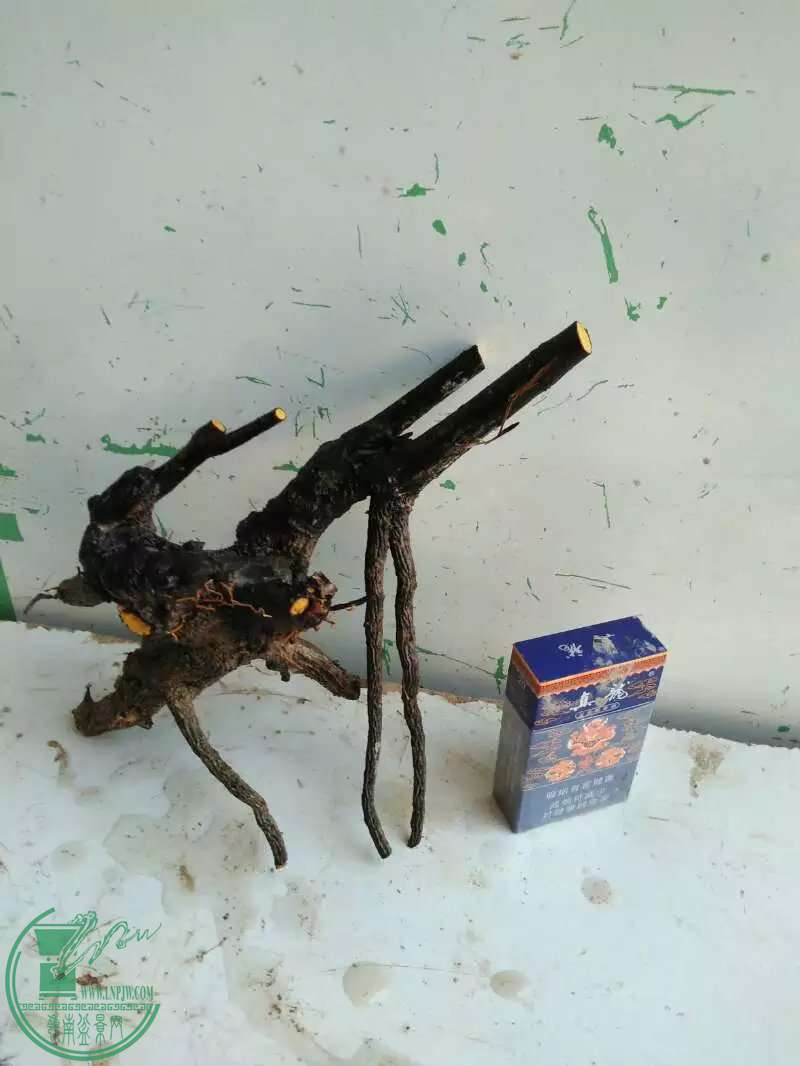 psbCAWUU5NF.jpg
