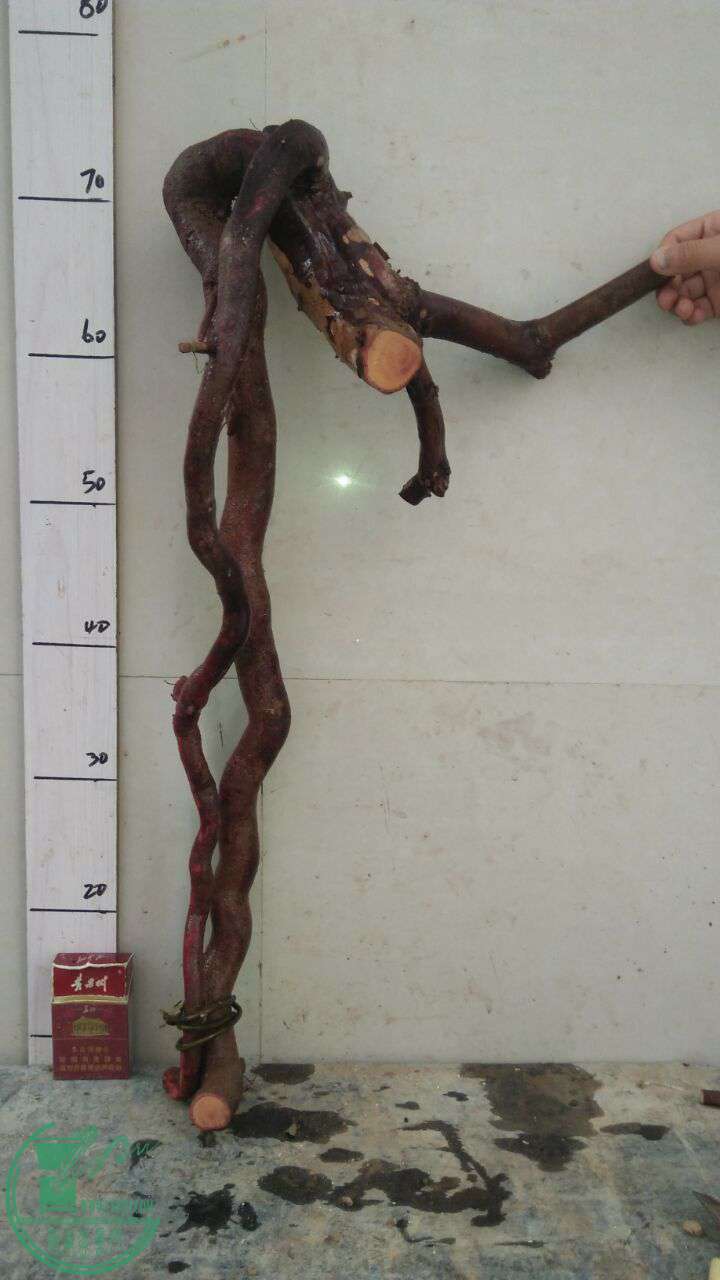 QQͼƬ20161202194416.jpg