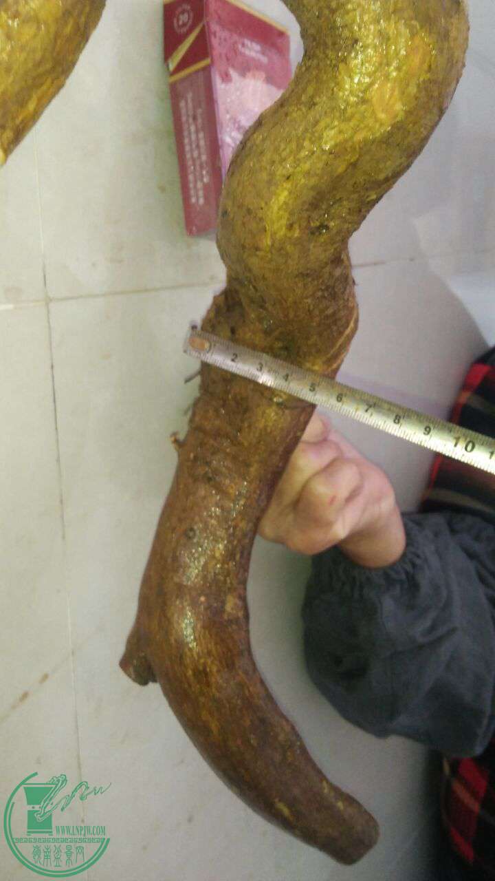 QQͼƬ20161202213814.jpg