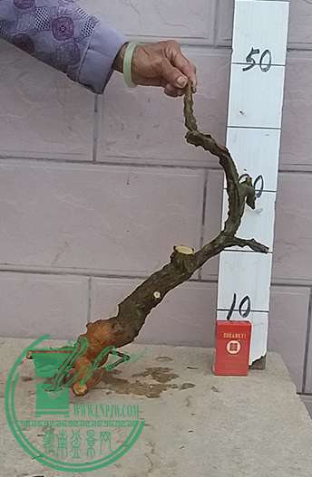 20161203_173807_mh1480761571758.jpg