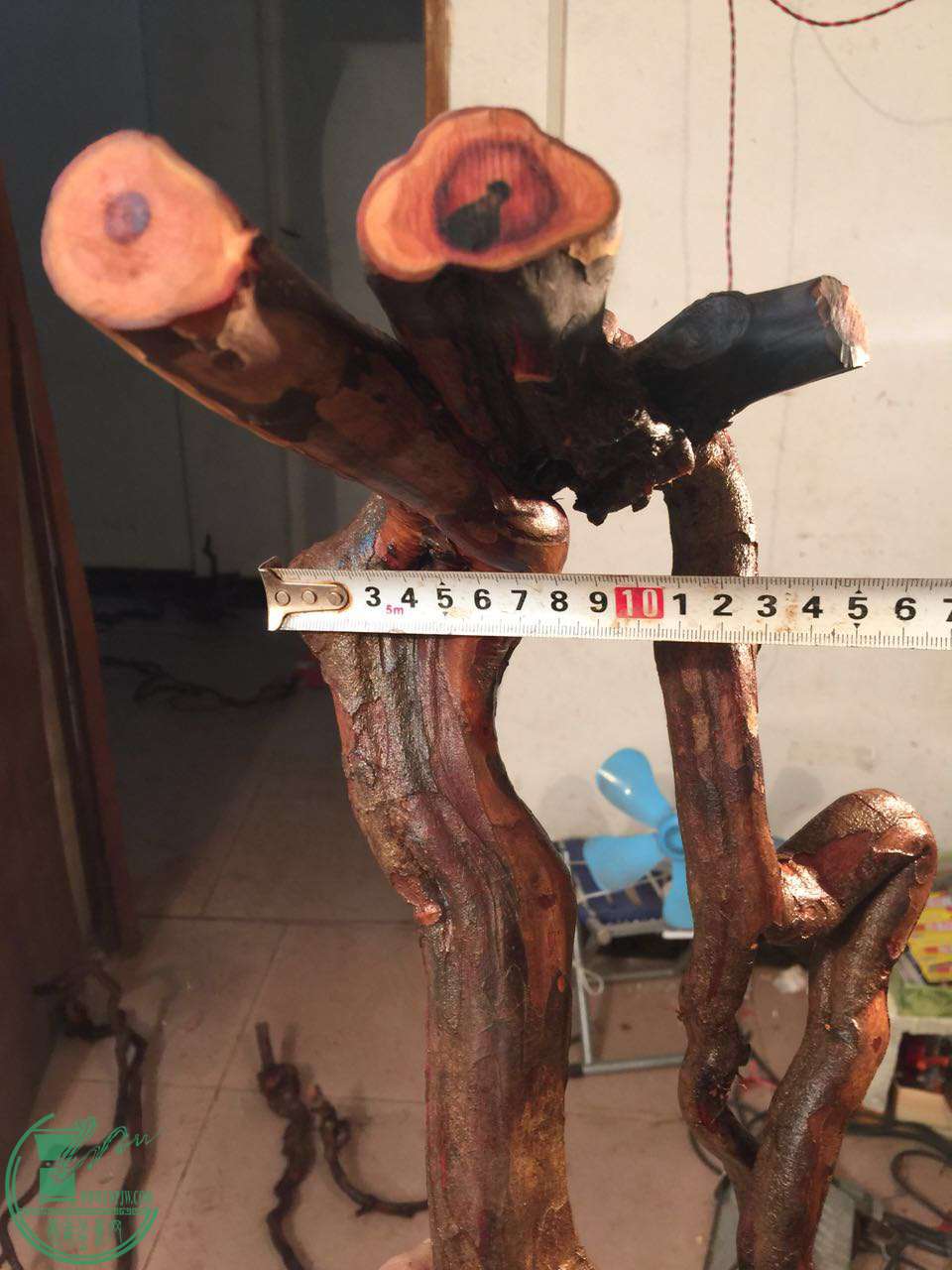 C73B147F-87C0-490D-BDCB-E5413961DEAA.JPG