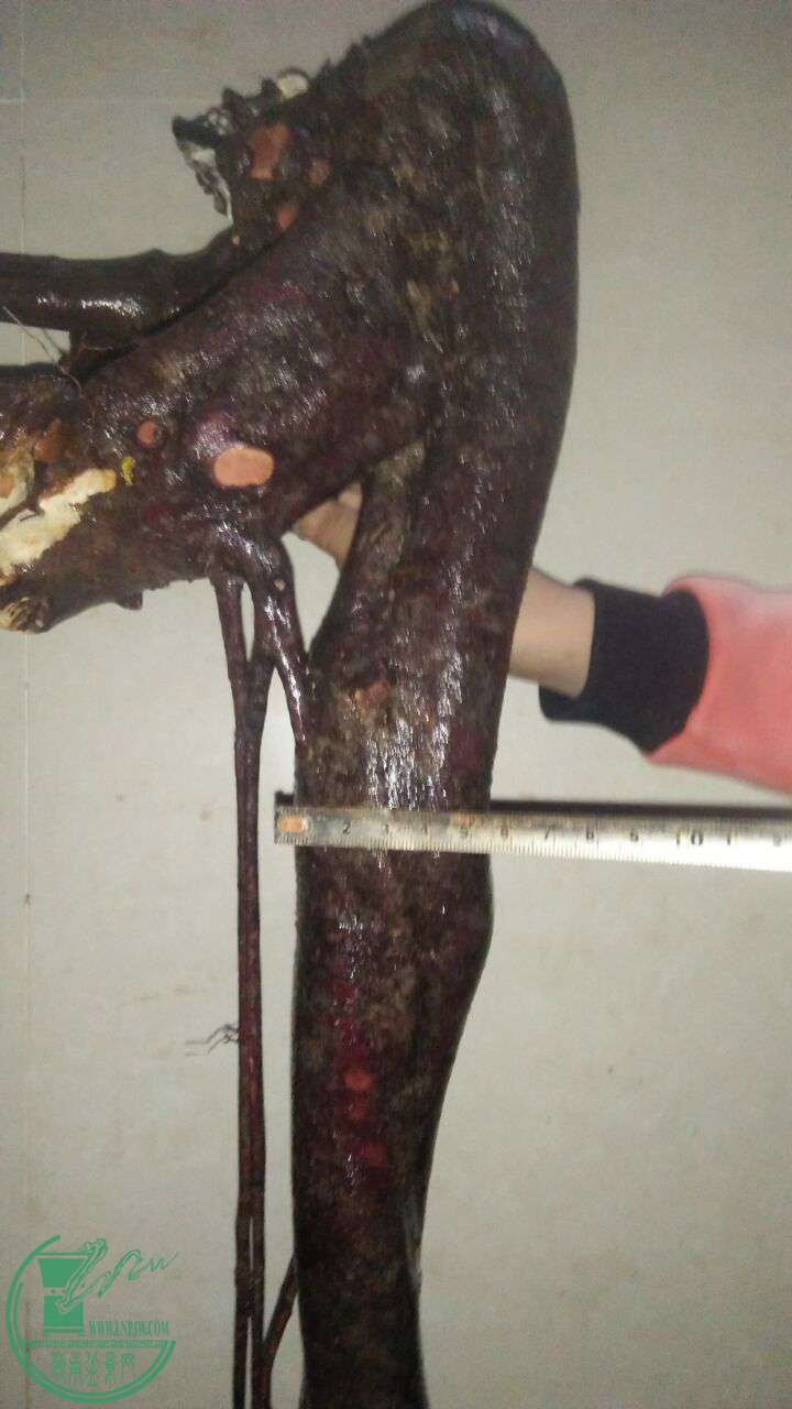 QQͼƬ20161203210903.jpg