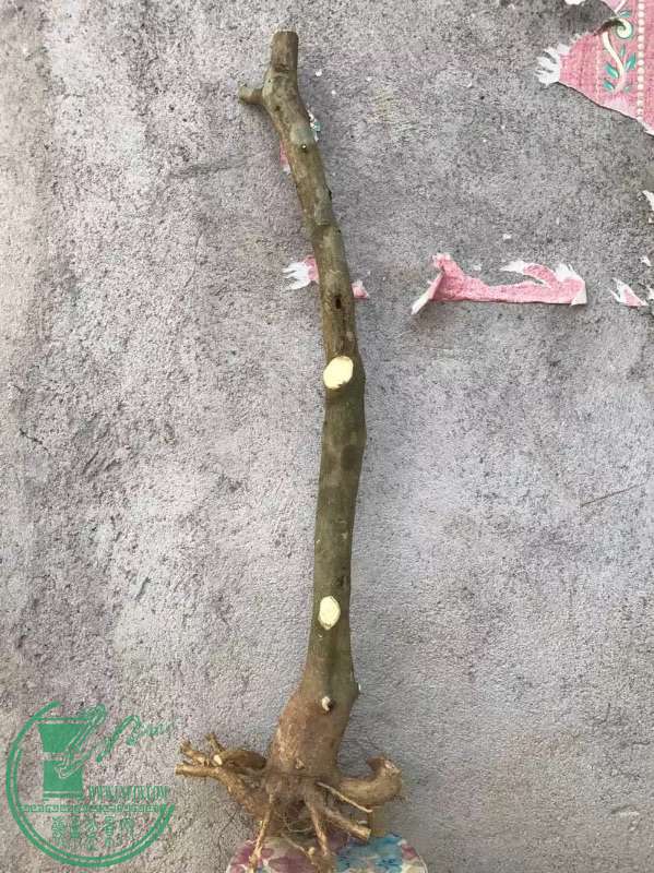 840075