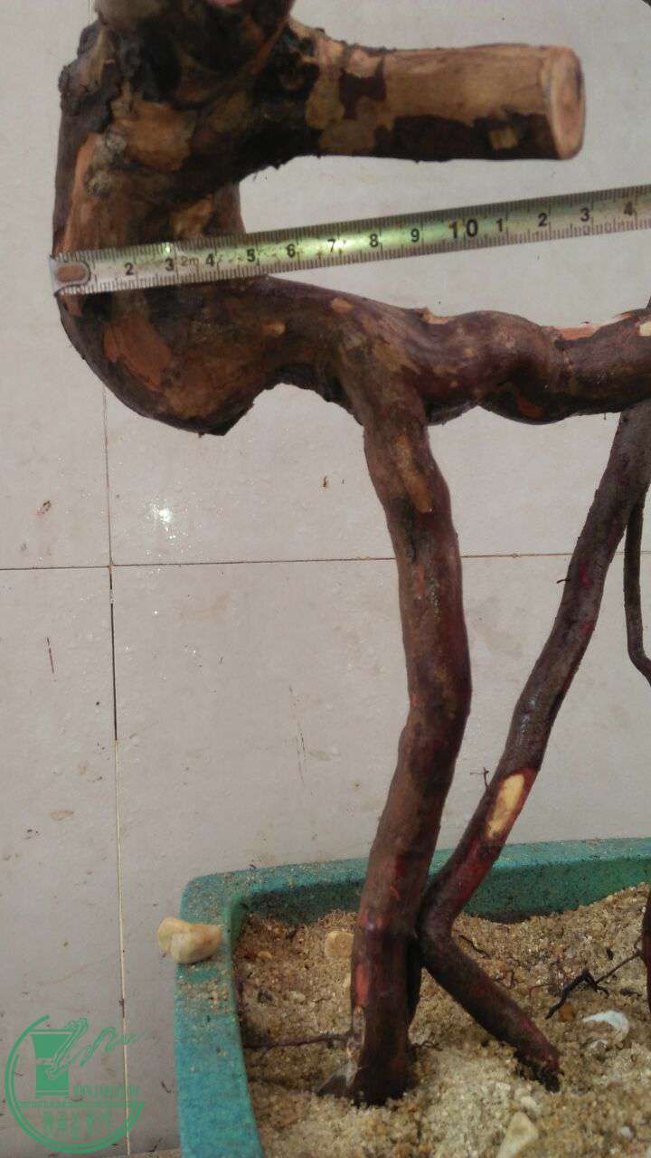 QQͼƬ20161204193332.jpg