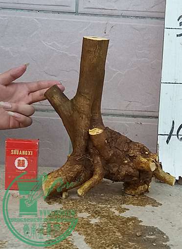 20161205_173518_mh1480935177065.jpg