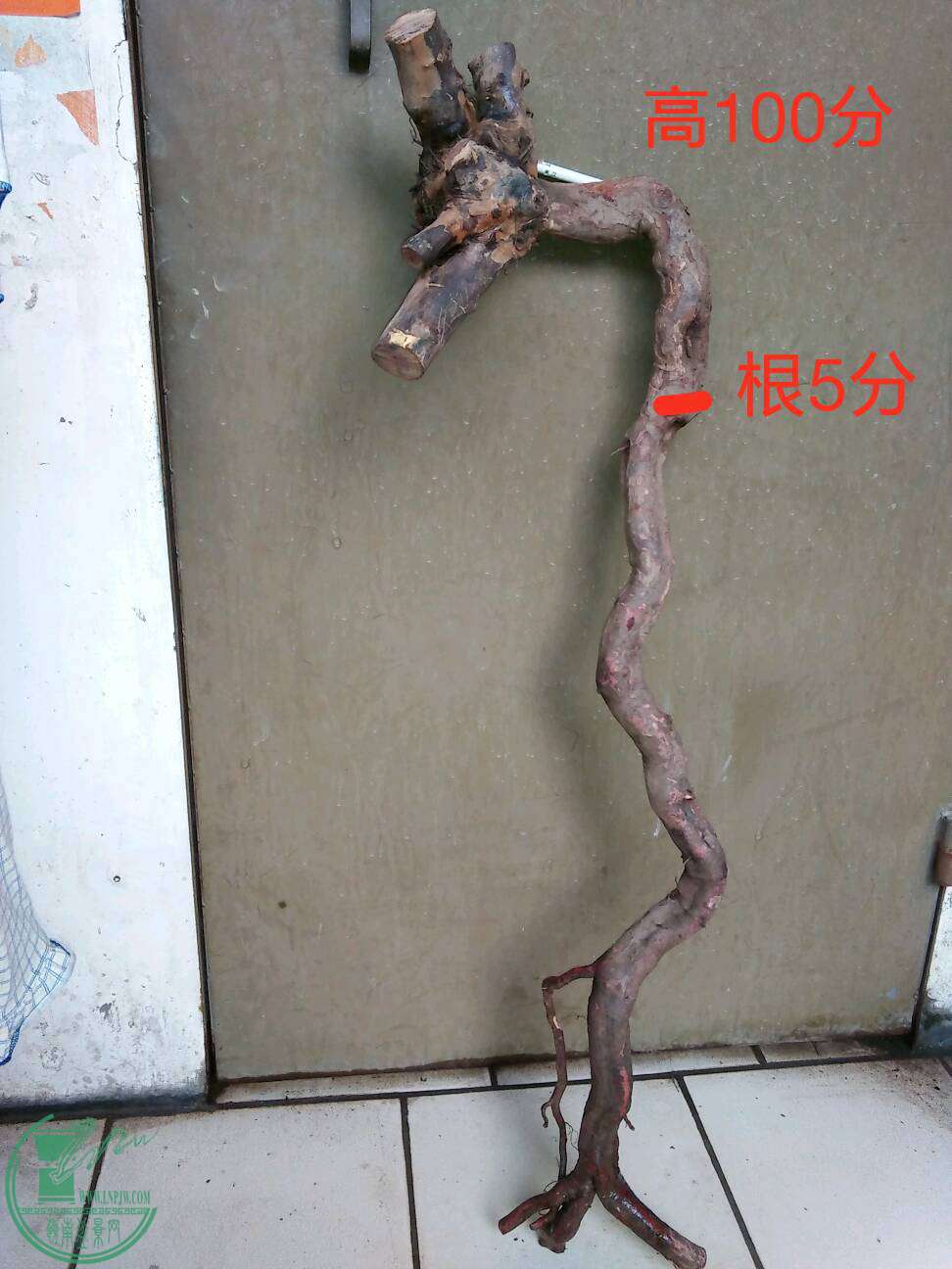 QQͼƬ20161205215942.jpg