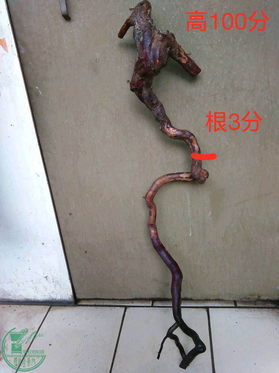 QQͼƬ20161205215950.jpg