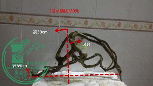 P61206-185759_.jpg