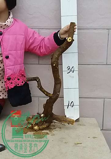 20161206_173647_mh1481020440397.jpg