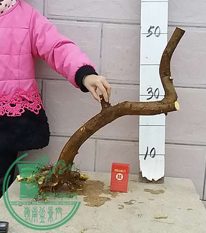 20161206_173737_mh1481020503669.jpg