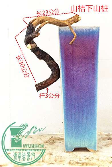 11_1.jpg